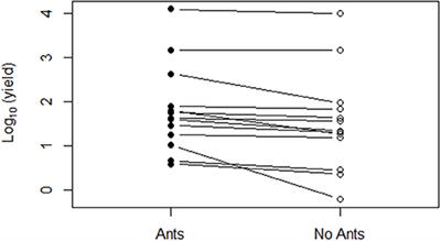 Weaver Ants Provide Ecosystem Services to Tropical Tree Crops